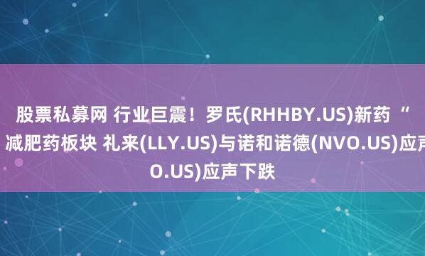 股票私募网 行业巨震！罗氏(RHHBY.US)新药 “吓坏”减肥药板块 礼来(LLY.US)与诺和诺德(NVO.US)应声下跌