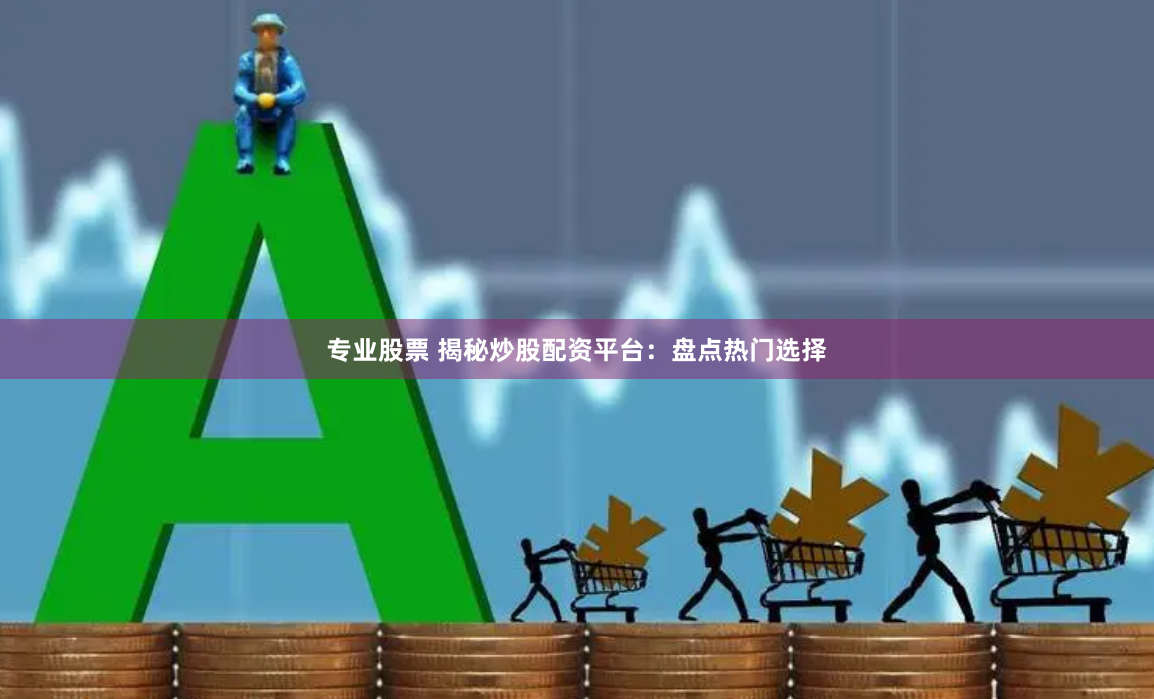 专业股票 揭秘炒股配资平台：盘点热门选择